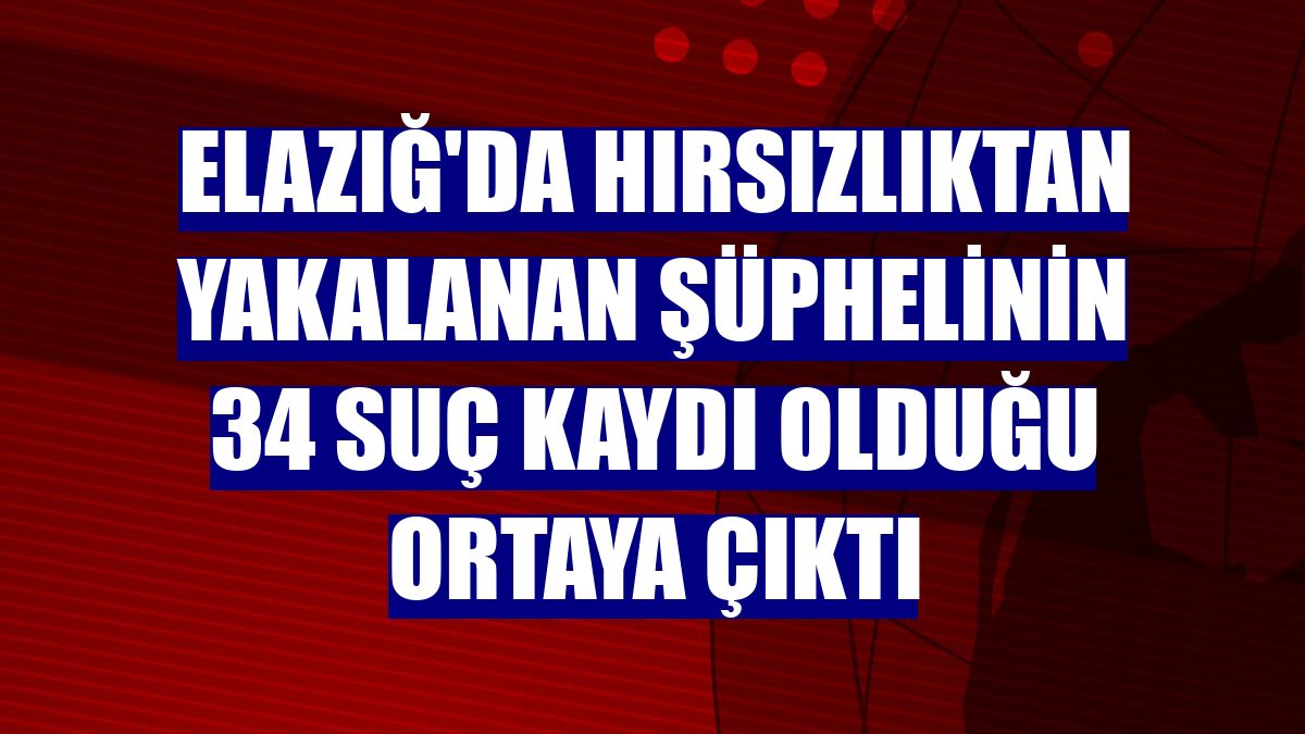 Elazığ'da hırsızlıktan yakalanan şüphelinin 34 suç kaydı olduğu ortaya çıktı