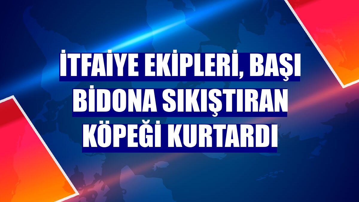 İtfaiye ekipleri, başı bidona sıkıştıran köpeği kurtardı