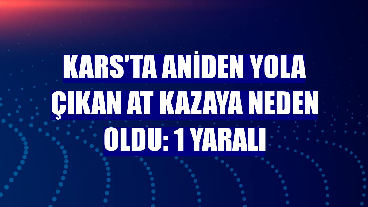 Kars'ta aniden yola çıkan at kazaya neden oldu: 1 yaralı