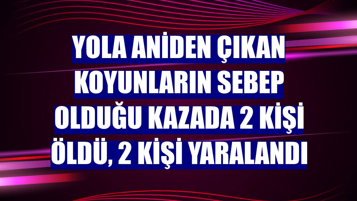 Yola aniden çıkan koyunların sebep olduğu kazada 2 kişi öldü, 2 kişi yaralandı