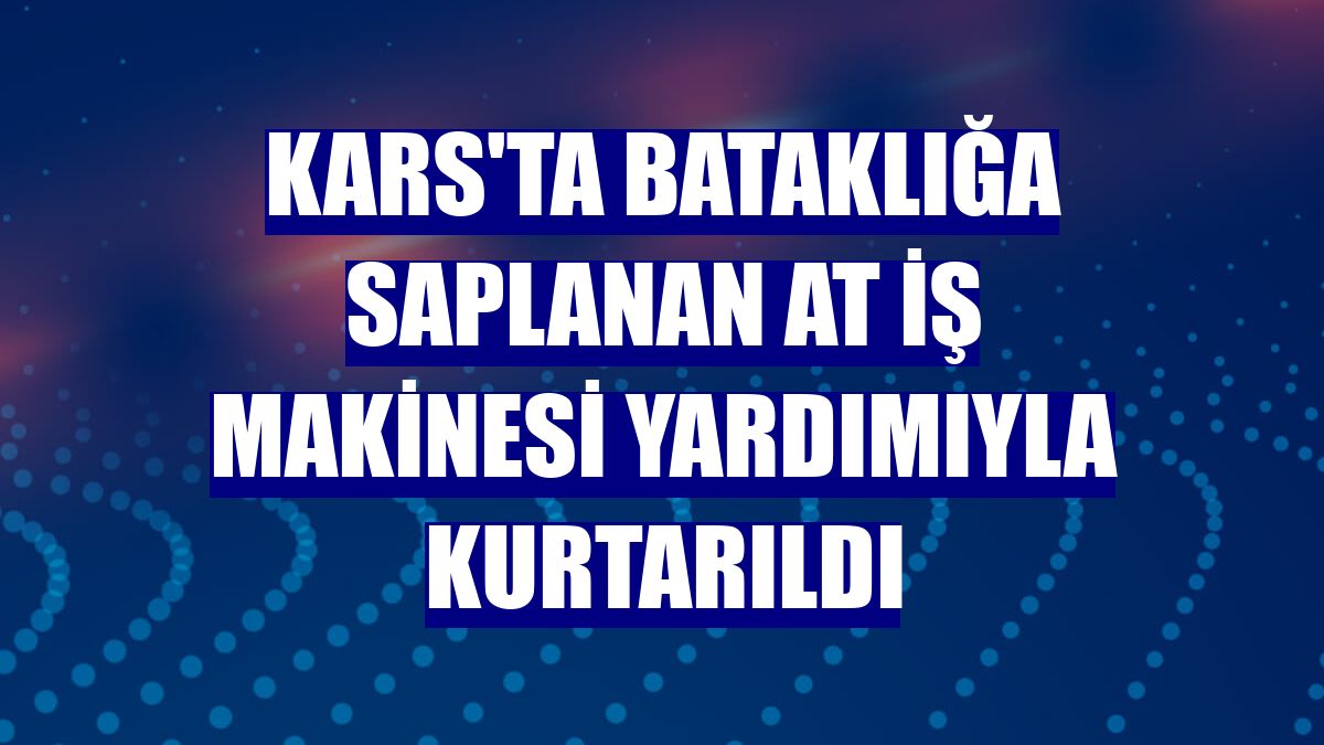 Kars'ta bataklığa saplanan at iş makinesi yardımıyla kurtarıldı