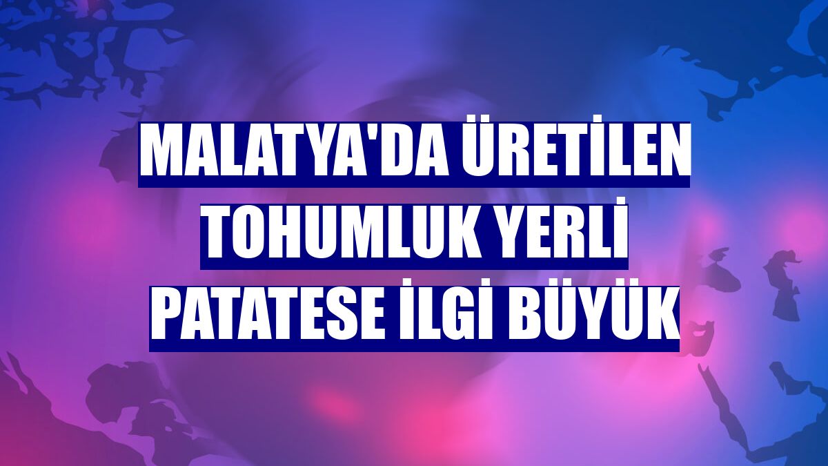 Malatya'da üretilen tohumluk yerli patatese ilgi büyük