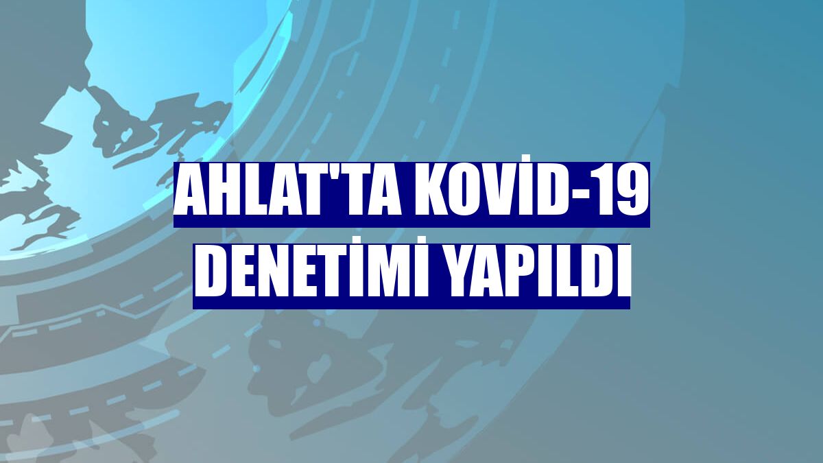 Ahlat'ta Kovid-19 denetimi yapıldı