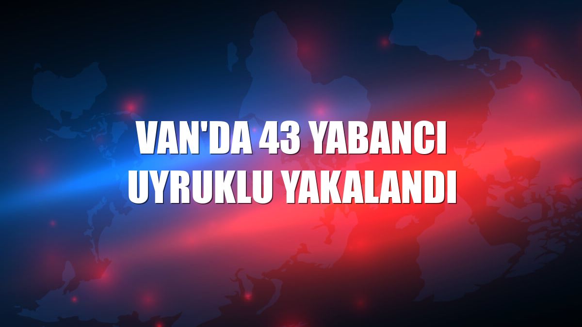 Van'da 43 yabancı uyruklu yakalandı