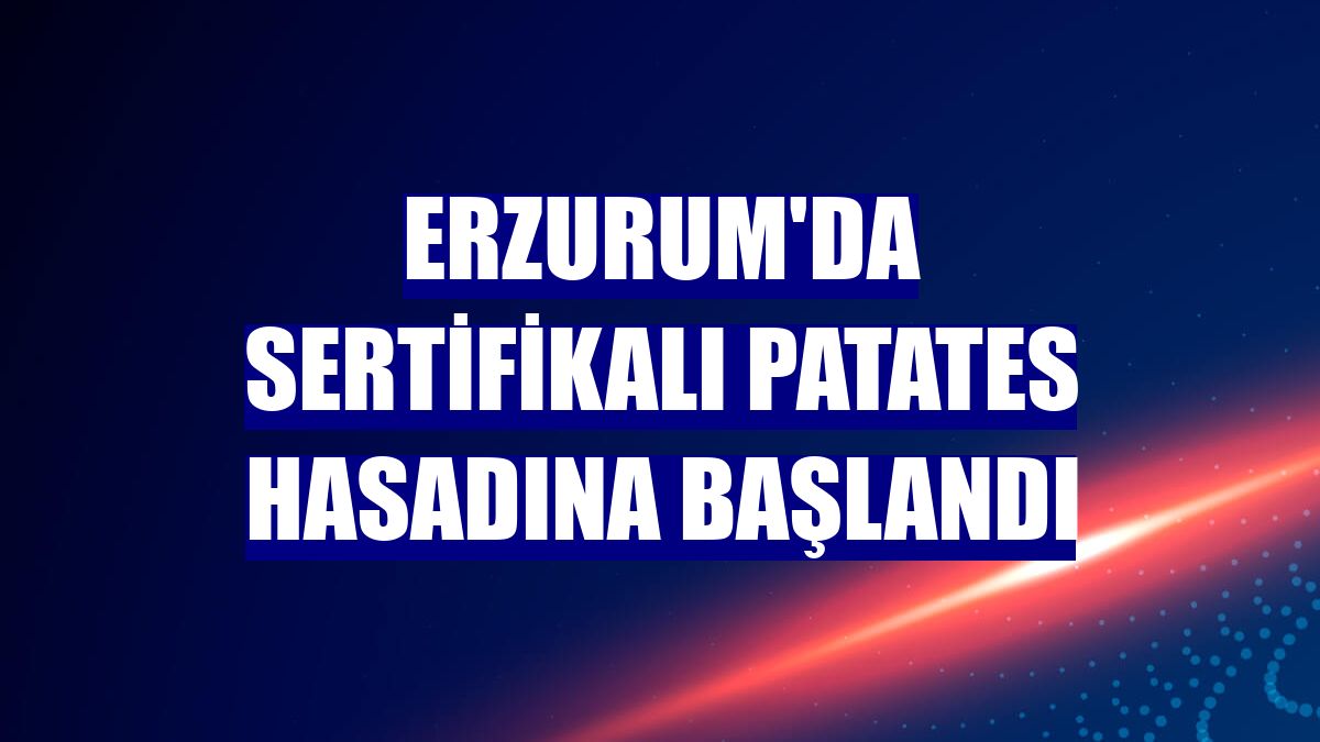 Erzurum'da sertifikalı patates hasadına başlandı