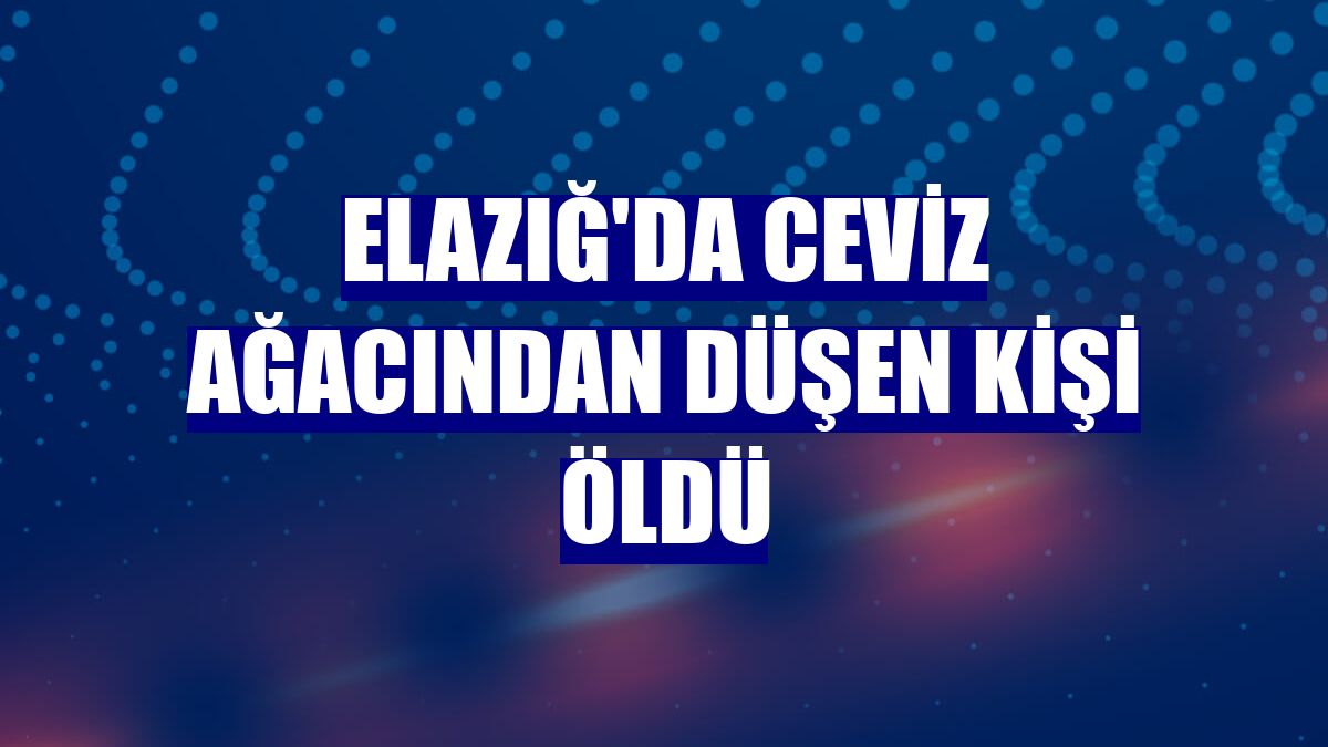 Elazığ'da ceviz ağacından düşen kişi öldü