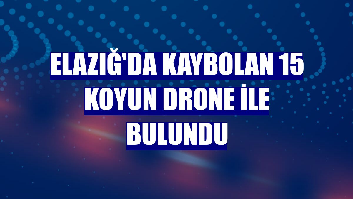 Elazığ'da kaybolan 15 koyun drone ile bulundu