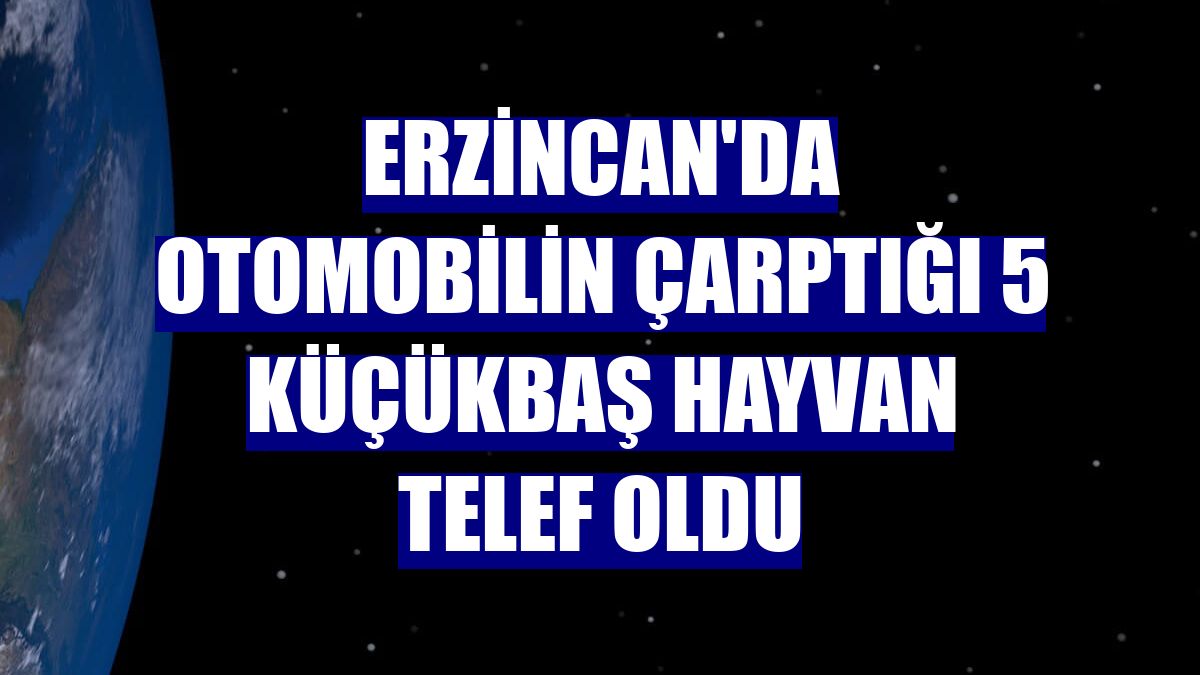 Erzincan'da otomobilin çarptığı 5 küçükbaş hayvan telef oldu