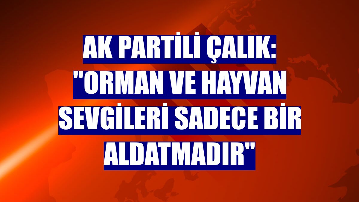 AK Partili Çalık: "Orman ve hayvan sevgileri sadece bir aldatmadır"
