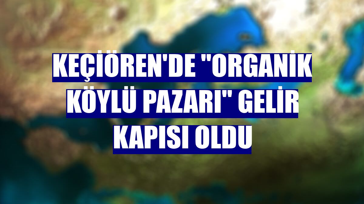 Keçiören'de "organik köylü pazarı" gelir kapısı oldu