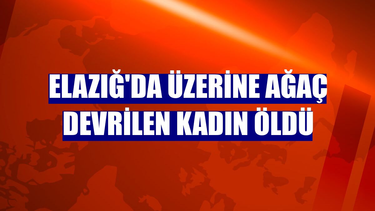 Elazığ'da üzerine ağaç devrilen kadın öldü