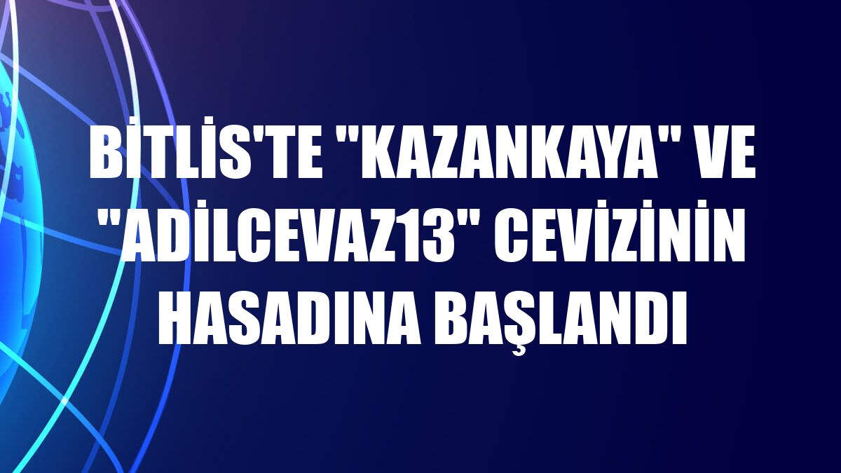 Bitlis'te 'Kazankaya' ve 'Adilcevaz13' cevizinin hasadına başlandı