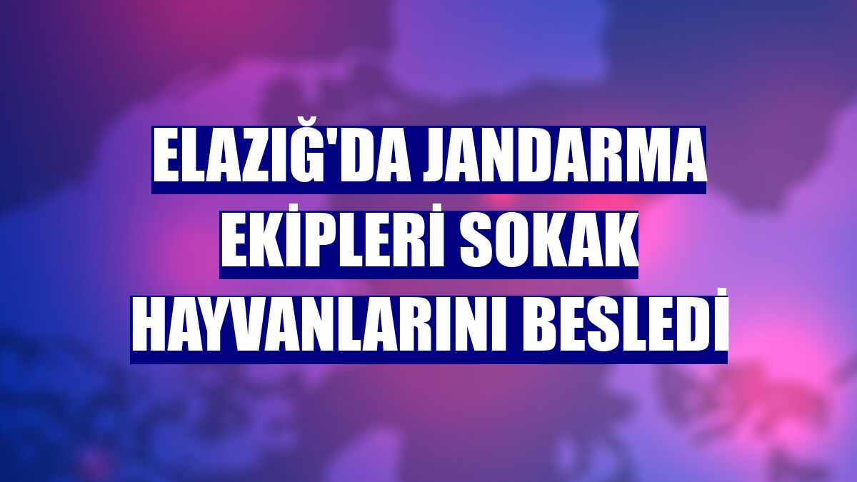 Elazığ'da jandarma ekipleri sokak hayvanlarını besledi
