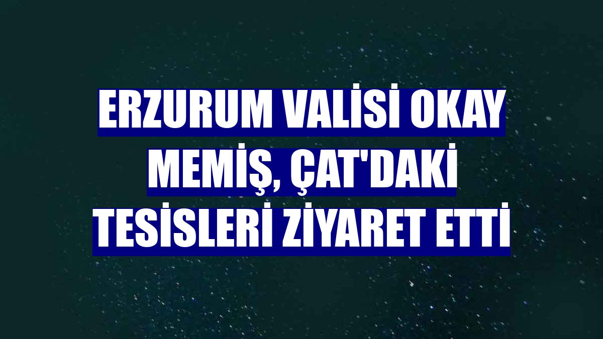 Erzurum Valisi Okay Memiş, Çat'daki tesisleri ziyaret etti