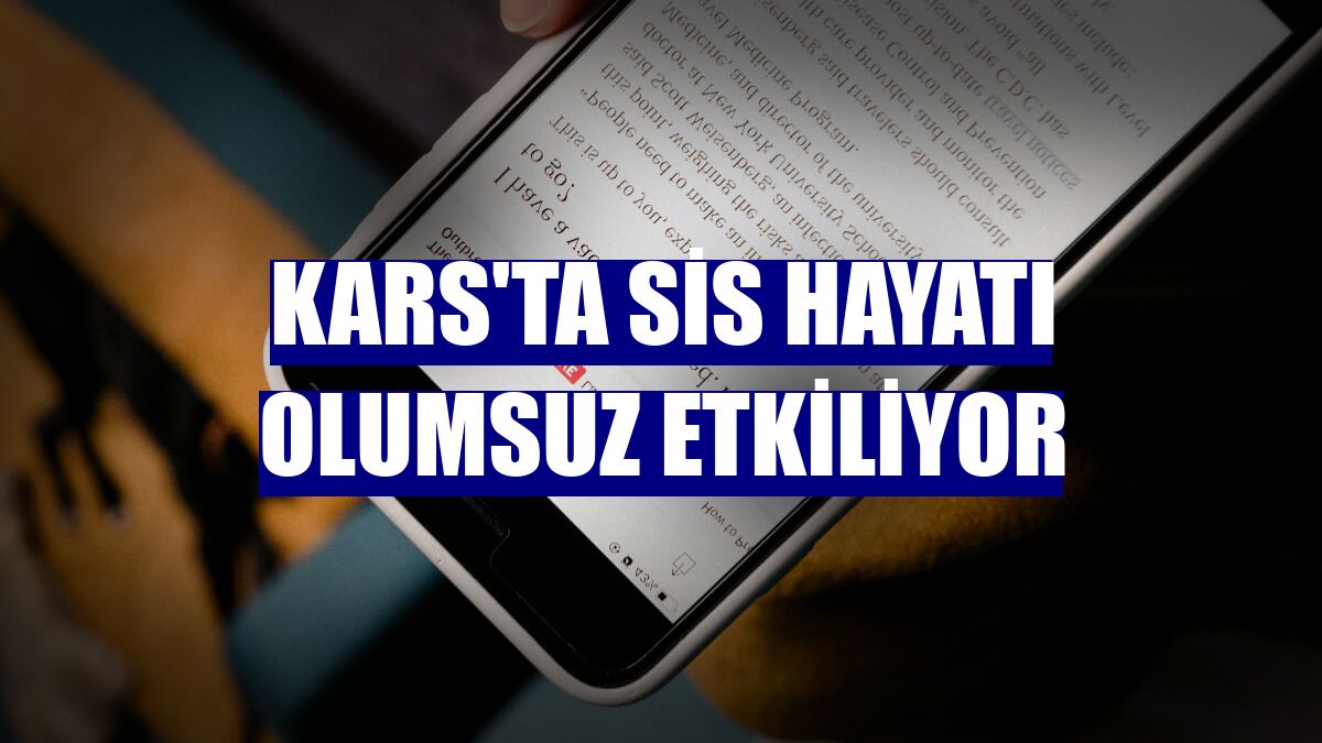 Kars'ta sis hayatı olumsuz etkiliyor