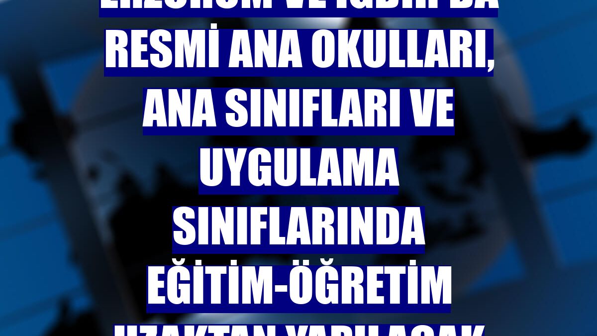 Erzurum ve Iğdır'da resmi ana okulları, ana sınıfları ve uygulama sınıflarında eğitim-öğretim uzaktan yapılacak