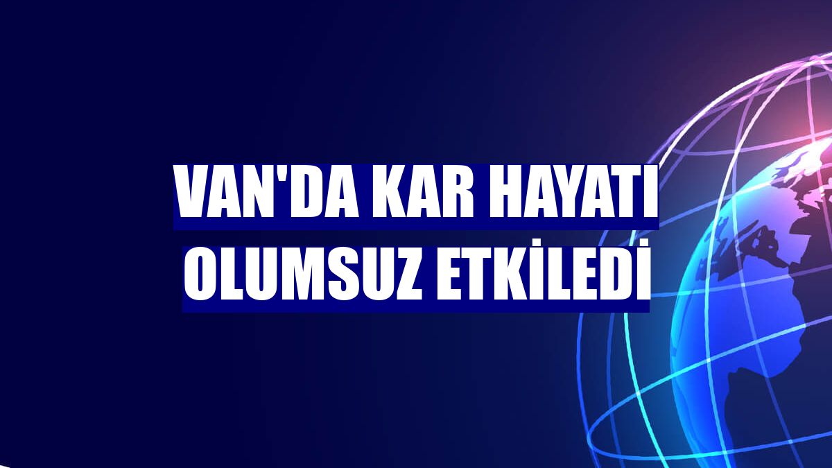 Van'da kar hayatı olumsuz etkiledi