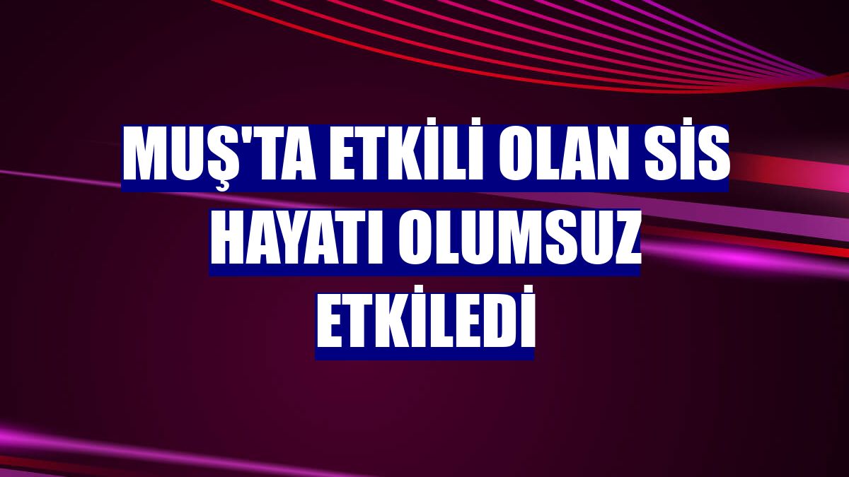 Muş'ta etkili olan sis hayatı olumsuz etkiledi