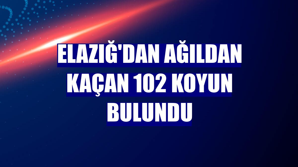 Elazığ'dan ağıldan kaçan 102 koyun bulundu