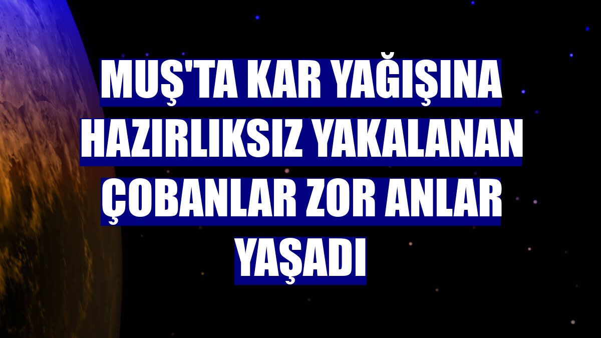 Muş'ta kar yağışına hazırlıksız yakalanan çobanlar zor anlar yaşadı