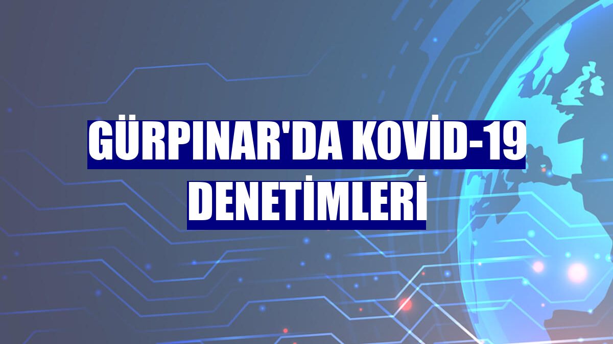 Gürpınar'da Kovid-19 denetimleri