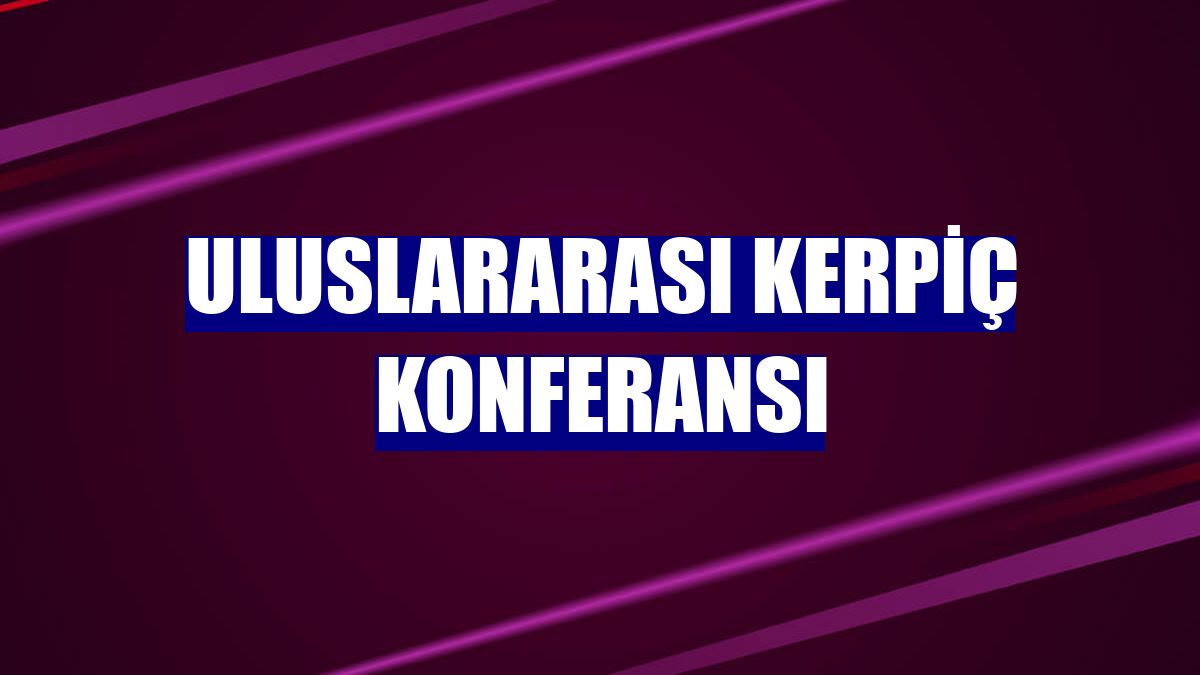 Uluslararası Kerpiç Konferansı