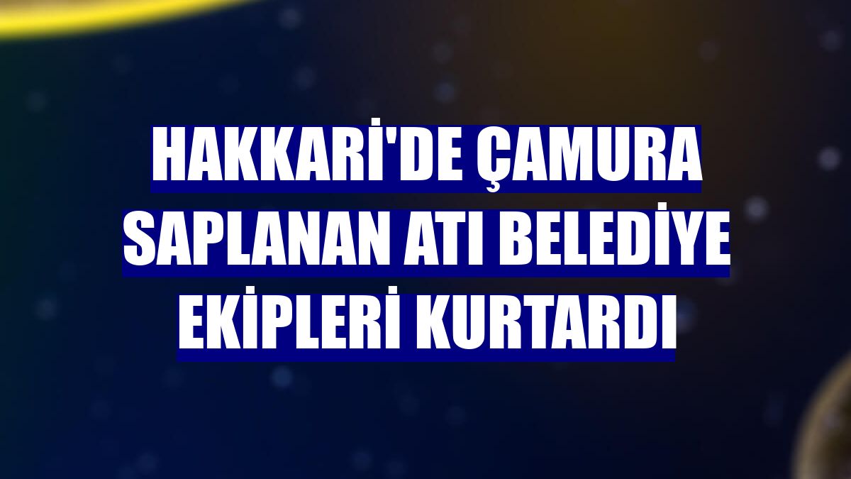 Hakkari'de çamura saplanan atı belediye ekipleri kurtardı