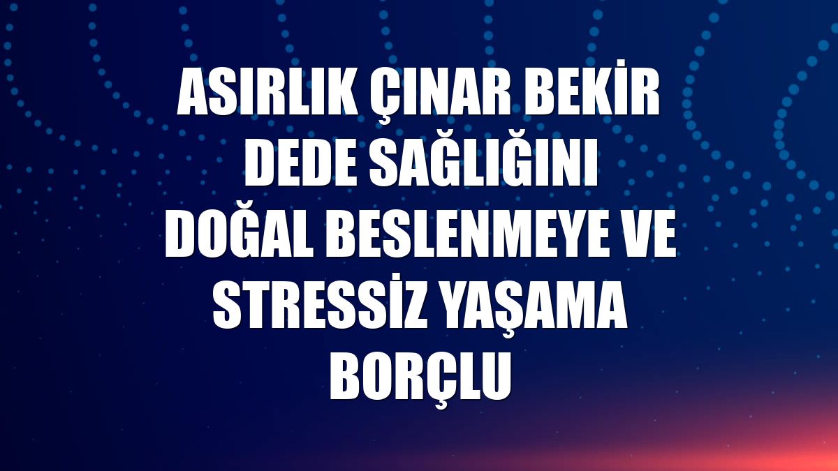 Asırlık çınar Bekir dede sağlığını doğal beslenmeye ve stressiz yaşama borçlu