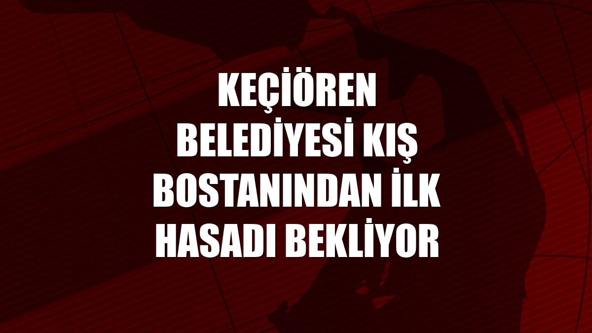 Keçiören Belediyesi kış bostanından ilk hasadı bekliyor
