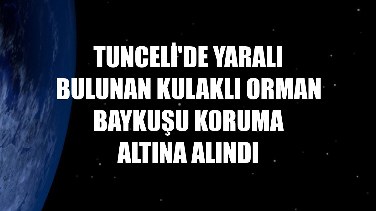 Tunceli'de yaralı bulunan kulaklı orman baykuşu koruma altına alındı