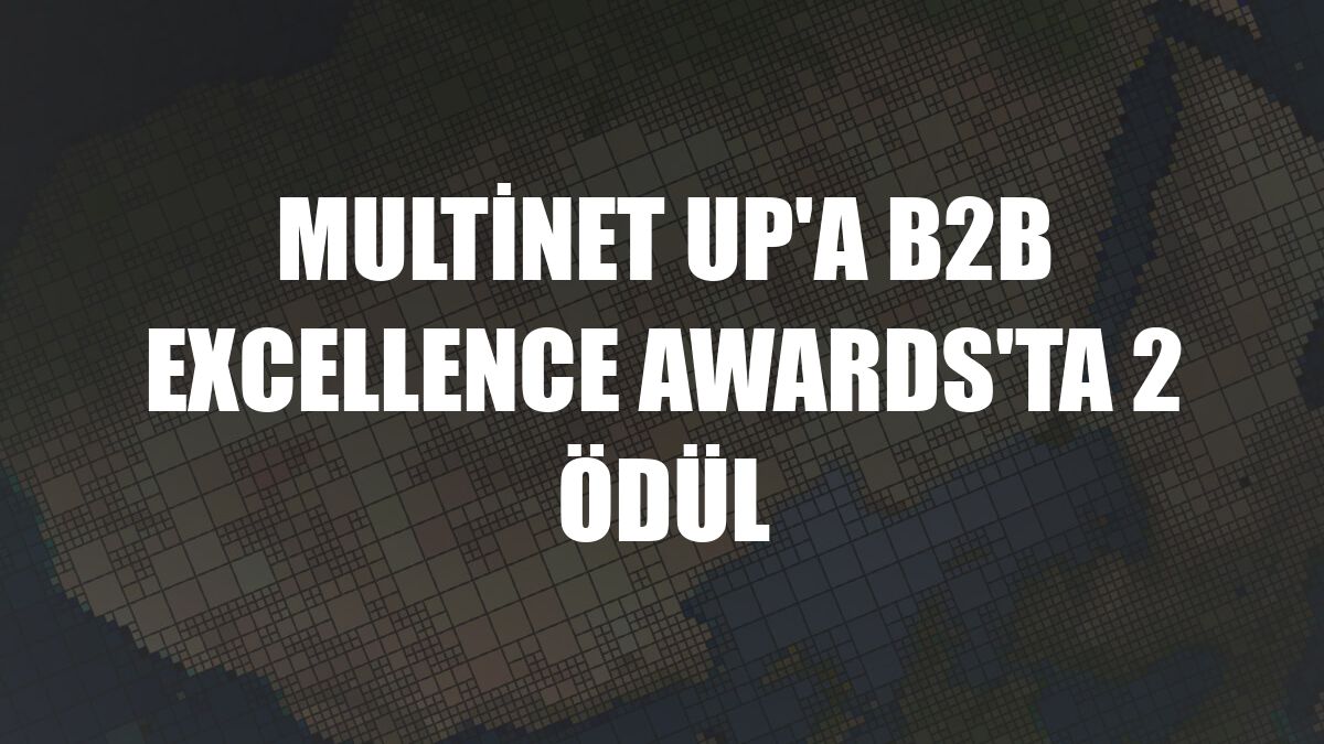 Multinet Up'a B2B Excellence Awards'ta 2 ödül