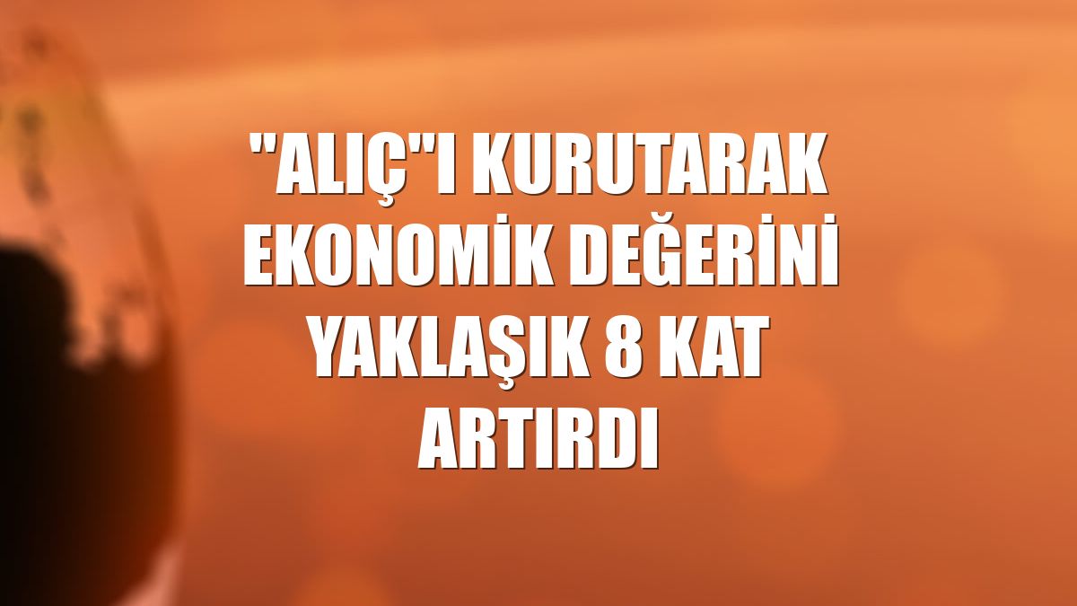 "Alıç"ı kurutarak ekonomik değerini yaklaşık 8 kat artırdı