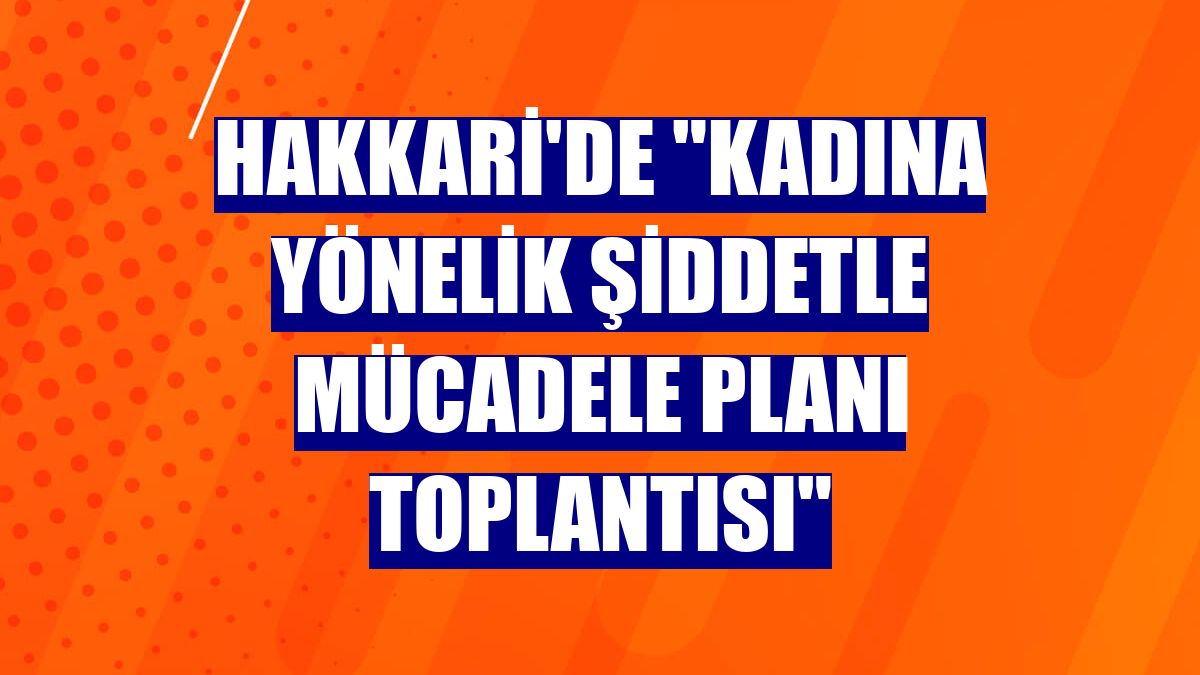 Hakkari'de "Kadına Yönelik Şiddetle Mücadele Planı Toplantısı"