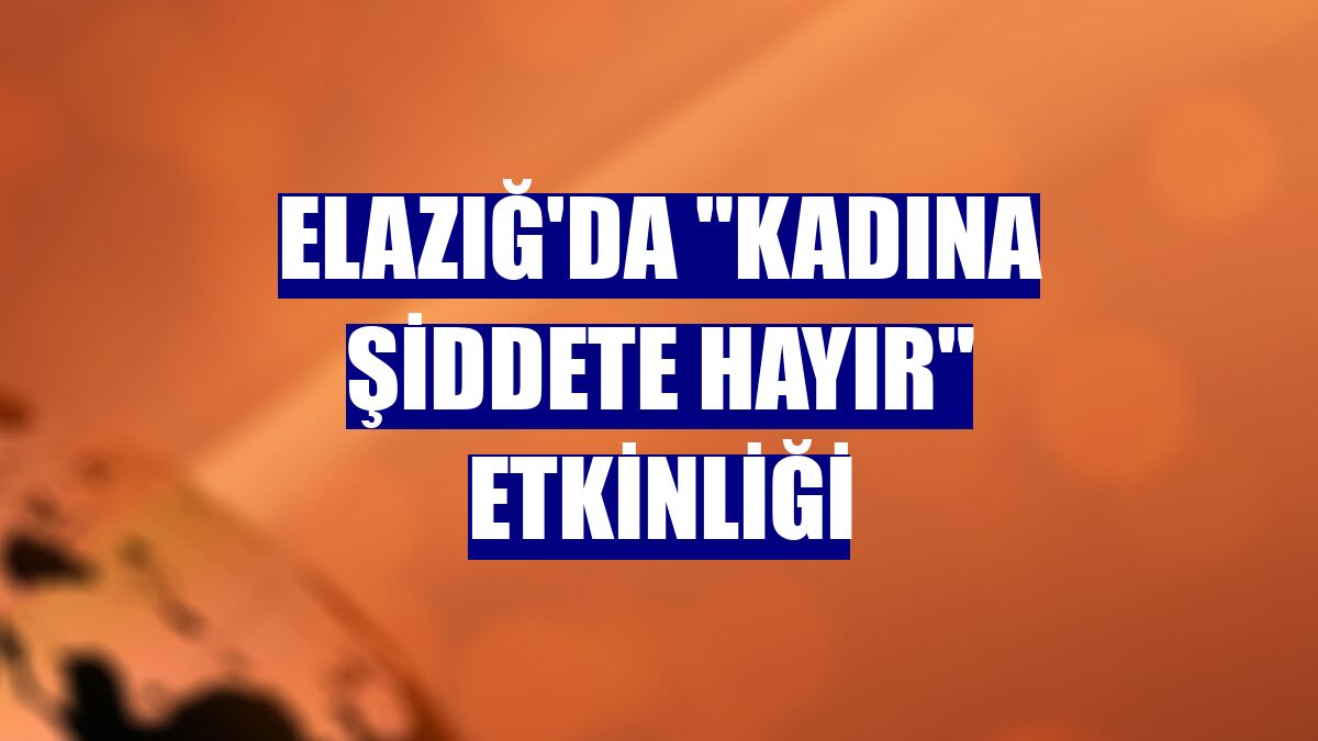 Elazığ'da "Kadına şiddete hayır" etkinliği