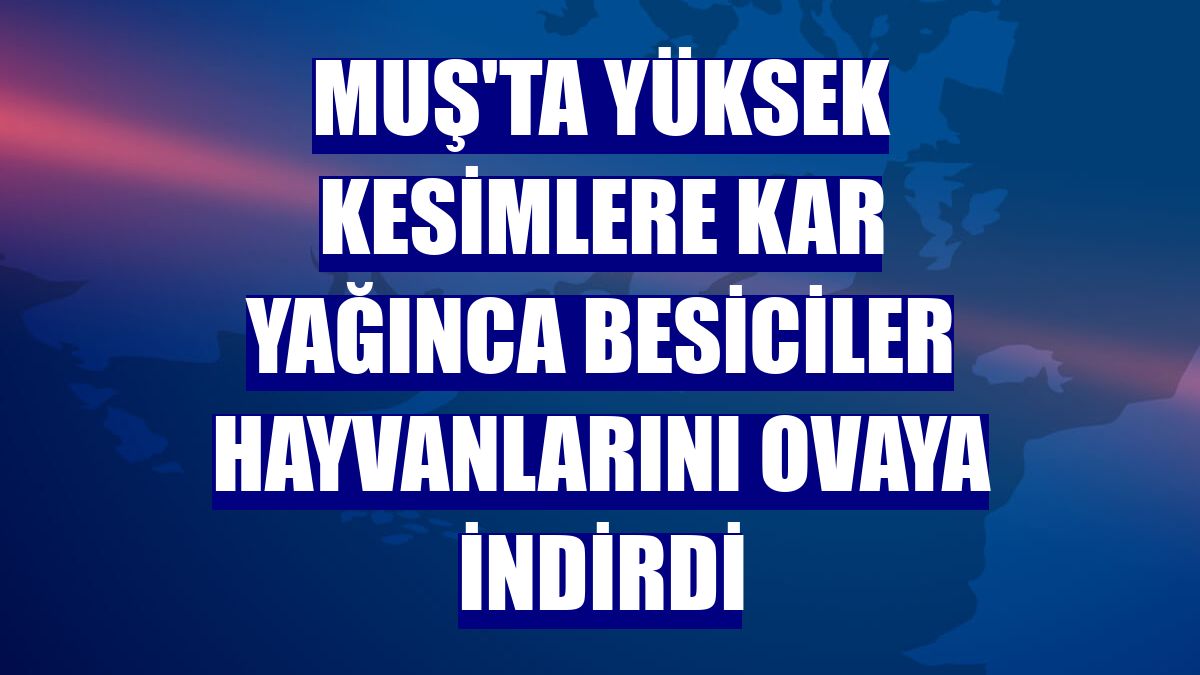 Muş'ta yüksek kesimlere kar yağınca besiciler hayvanlarını ovaya indirdi