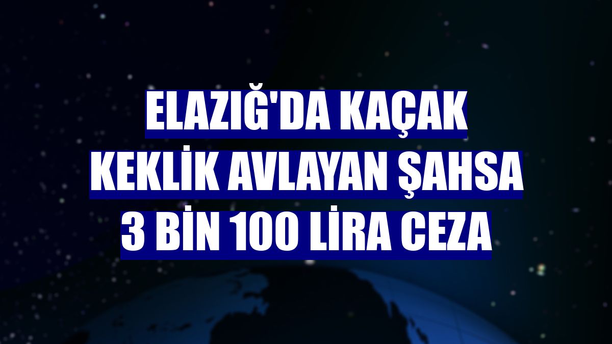 Elazığ'da kaçak keklik avlayan şahsa 3 bin 100 lira ceza