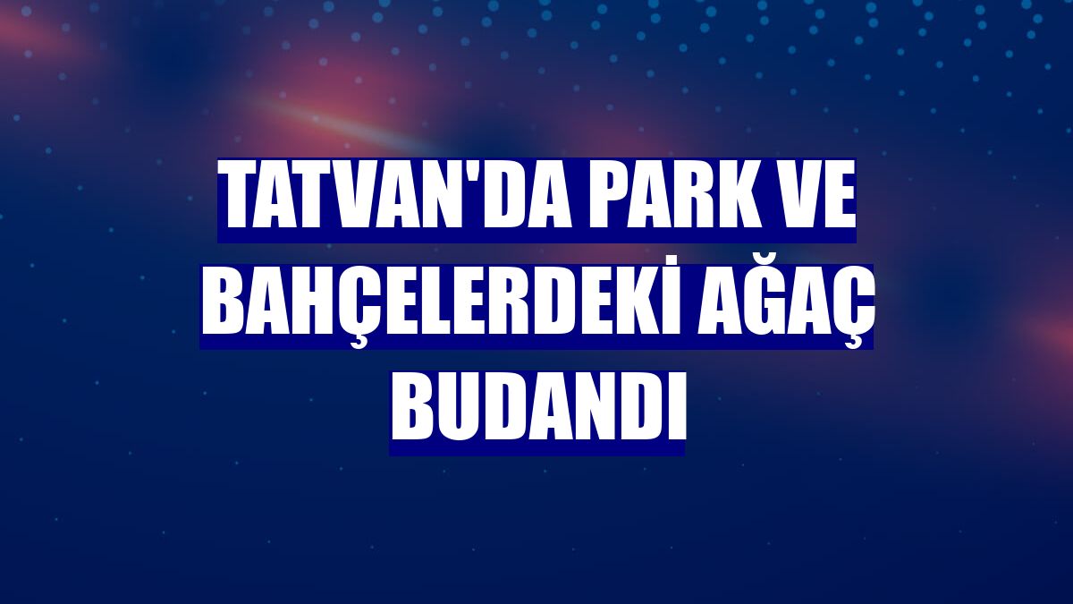 Tatvan'da park ve bahçelerdeki ağaç budandı
