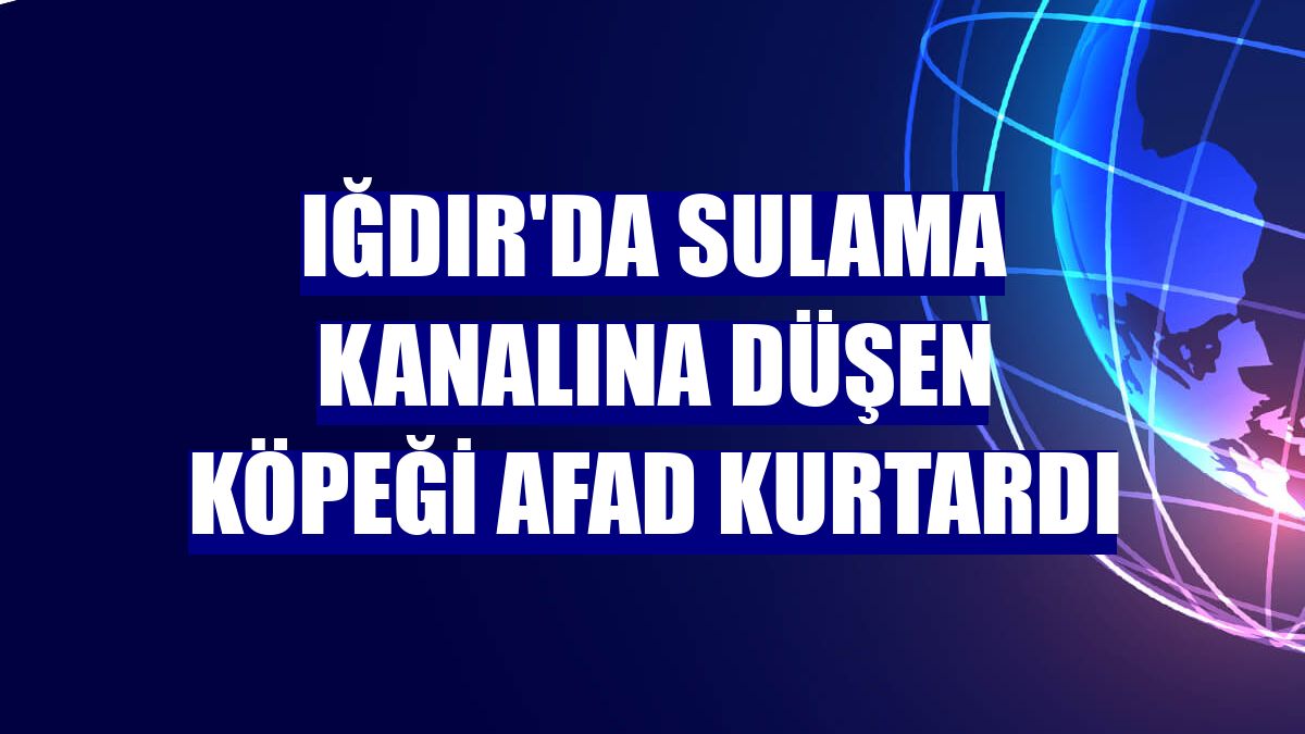 Iğdır'da sulama kanalına düşen köpeği AFAD kurtardı