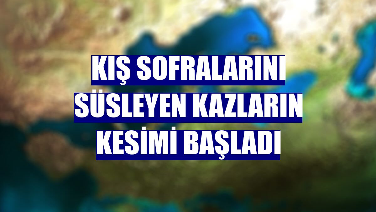 Kış sofralarını süsleyen kazların kesimi başladı