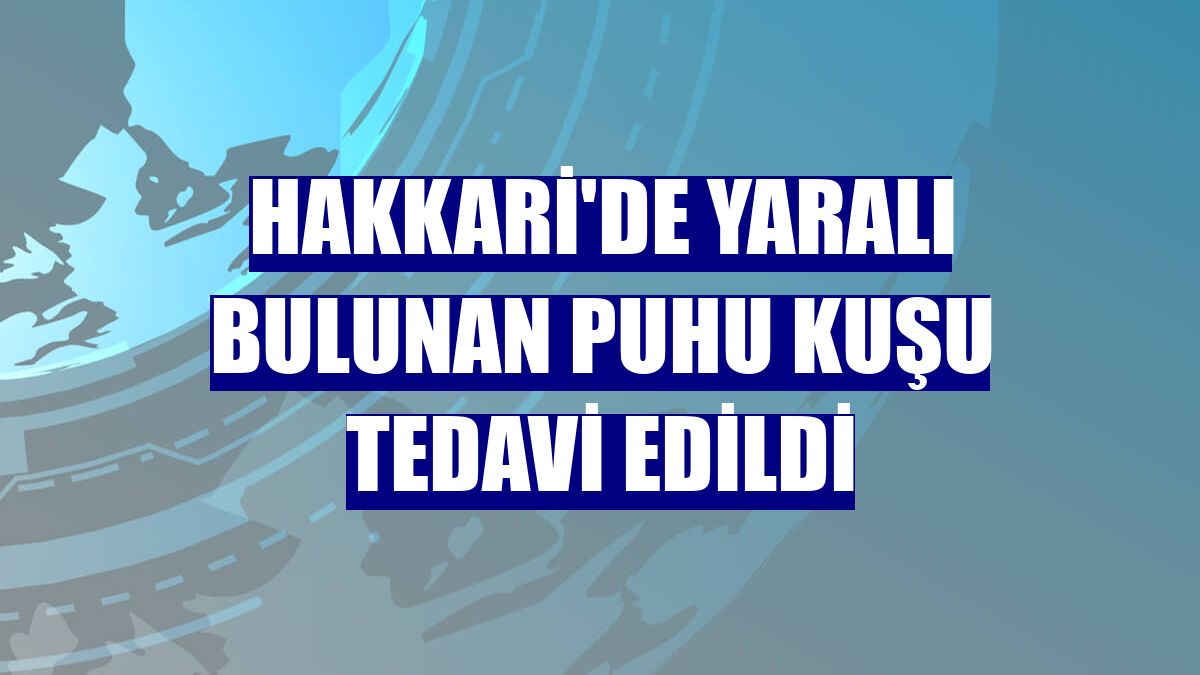Hakkari'de yaralı bulunan puhu kuşu tedavi edildi