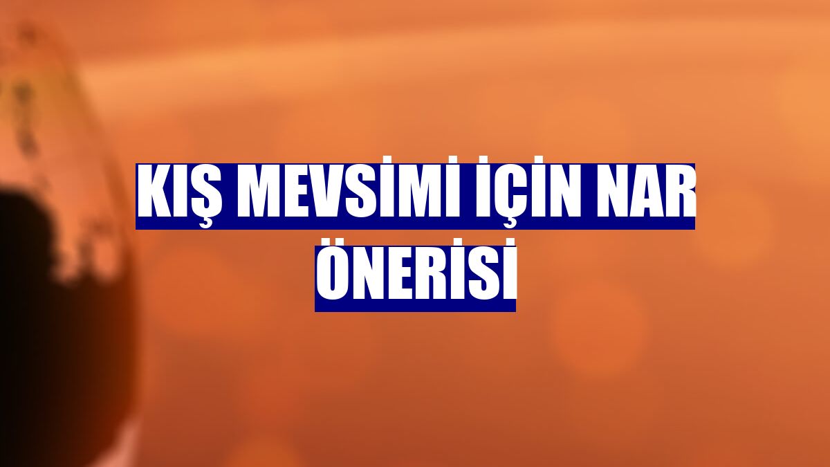 Kış mevsimi için nar önerisi