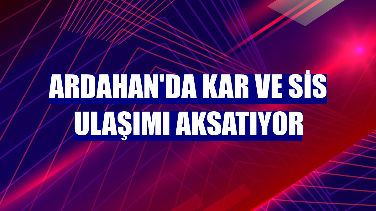Ardahan'da kar ve sis ulaşımı aksatıyor