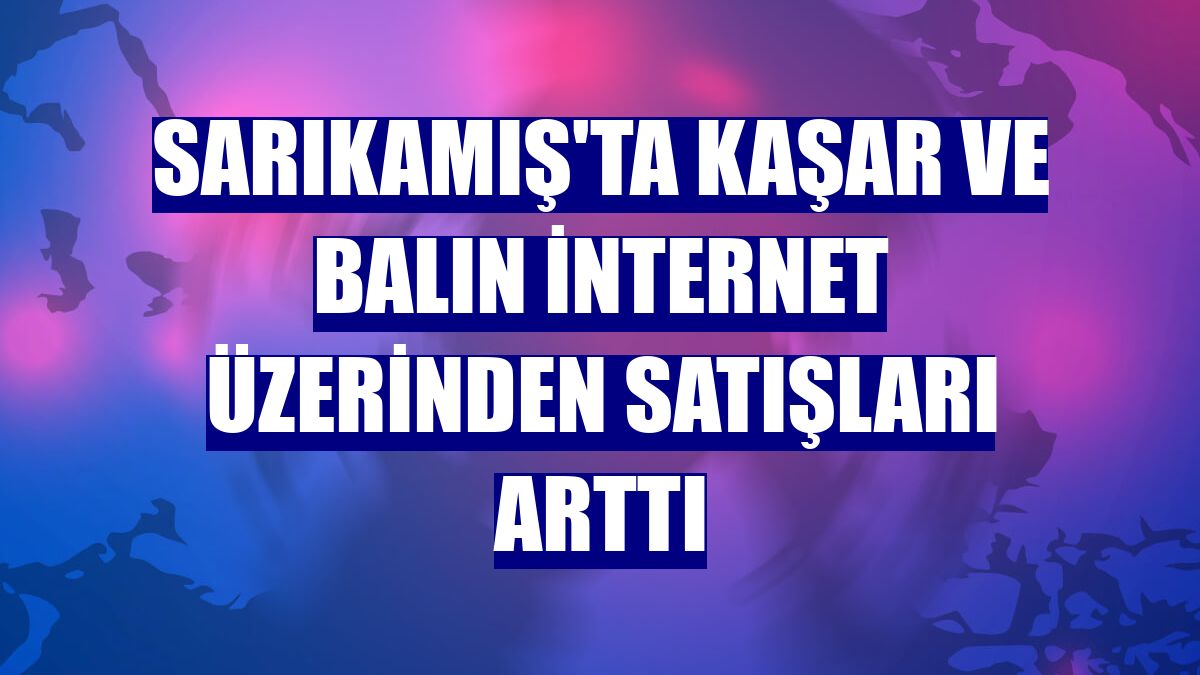 Sarıkamış'ta kaşar ve balın internet üzerinden satışları arttı