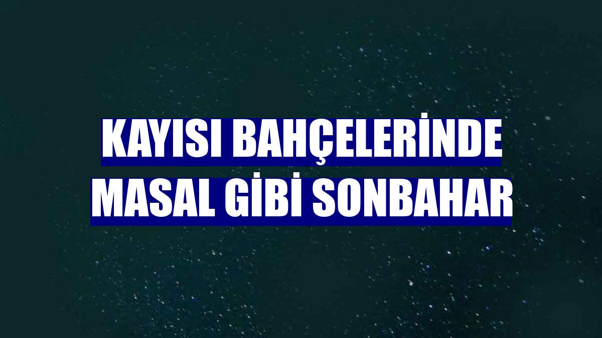 Kayısı bahçelerinde masal gibi sonbahar