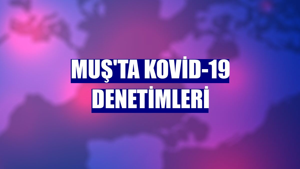 Muş'ta kovid-19 denetimleri