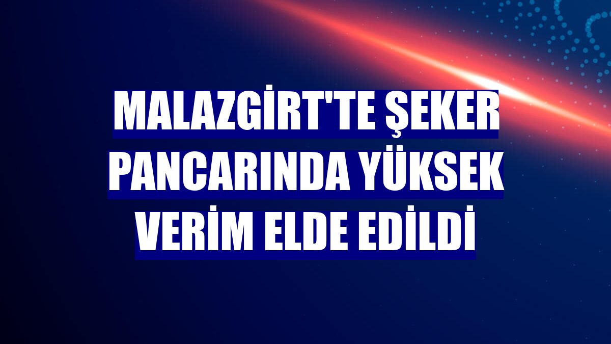Malazgirt'te şeker pancarında yüksek verim elde edildi