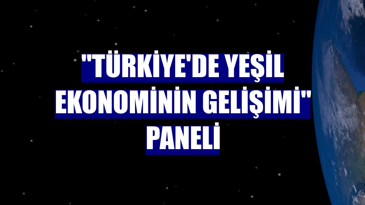 "Türkiye'de Yeşil Ekonominin Gelişimi" paneli