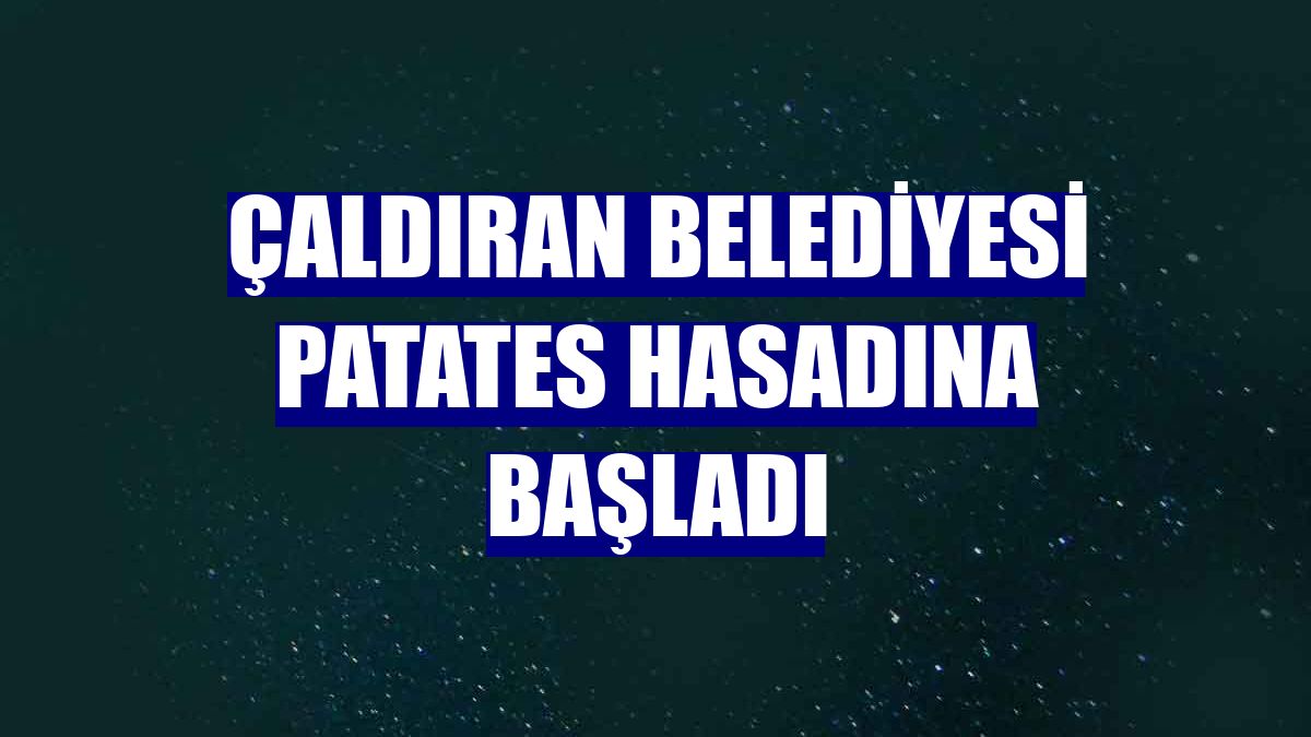 Çaldıran Belediyesi patates hasadına başladı