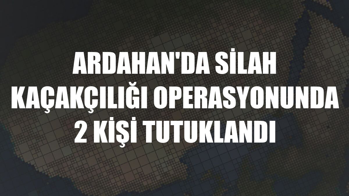 Ardahan'da silah kaçakçılığı operasyonunda 2 kişi tutuklandı