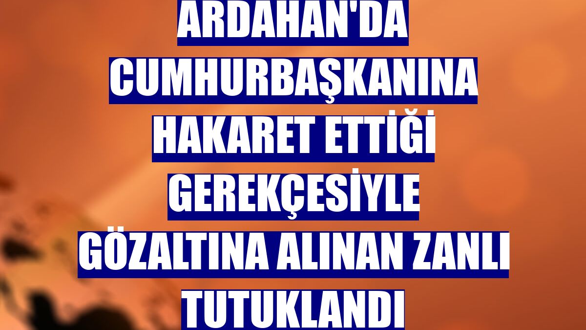 Ardahan'da Cumhurbaşkanına hakaret ettiği gerekçesiyle gözaltına alınan zanlı tutuklandı